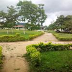 View 2